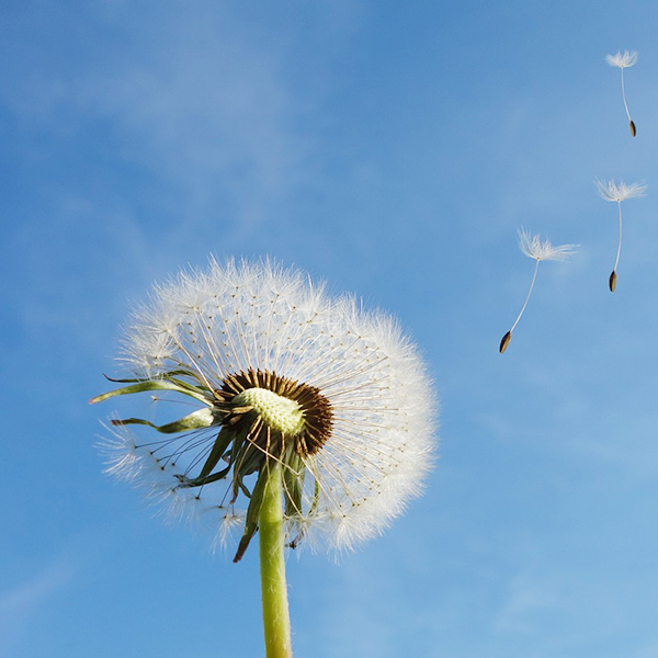 中国·248cc永利(集团)有限公司-官方网站